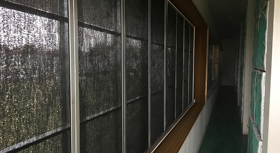 挡沙网过滤墙内侧。