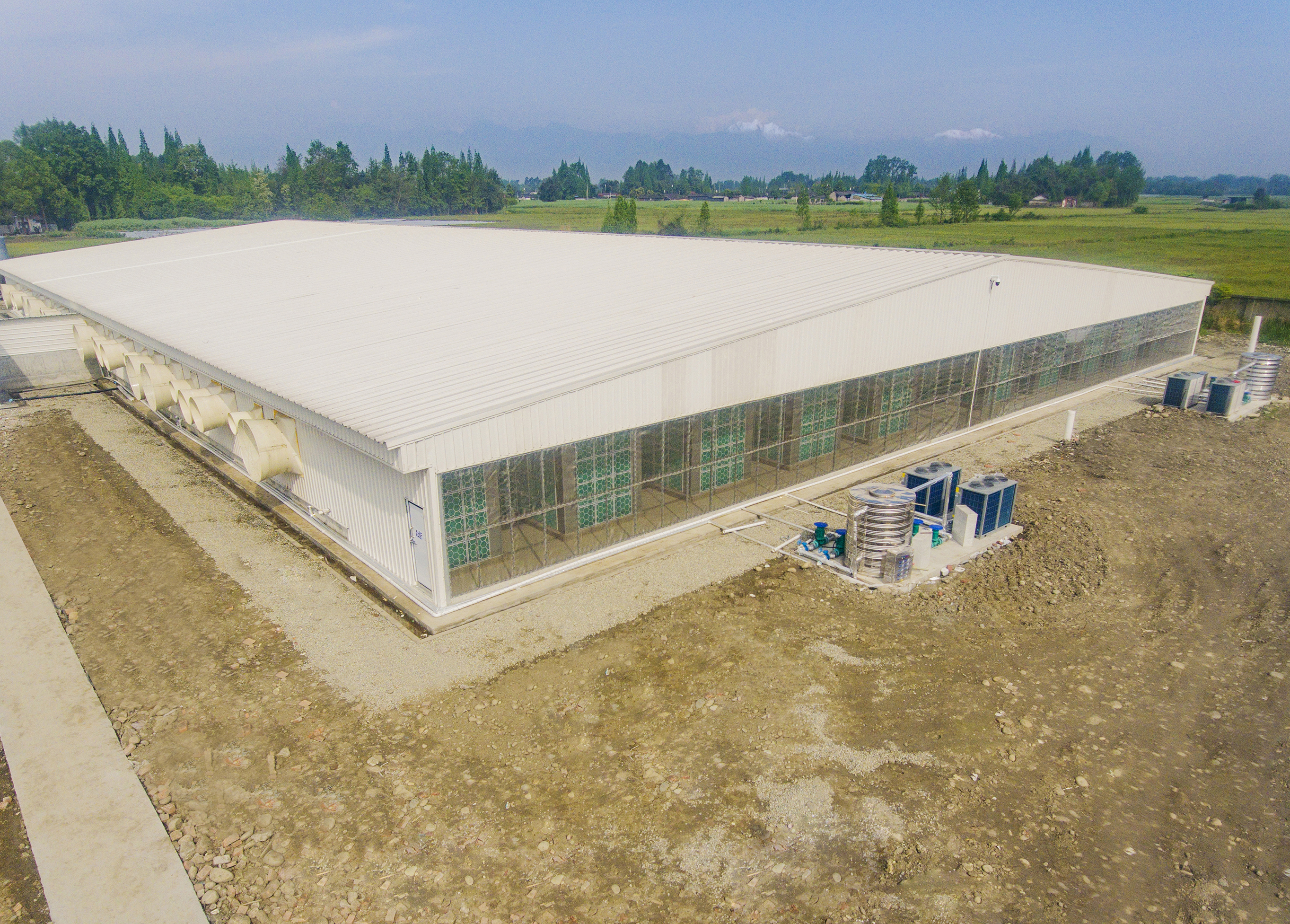 猪场空气过滤（乐鱼网Antibio系统—巨星农牧观胜育种场项目）